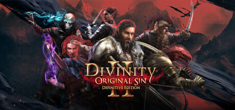 Okładka gry Divinity: Original Sin 2 - Definitive Edition