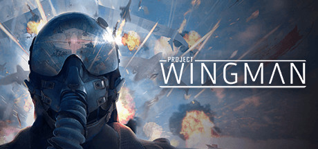 Okładka gry Project Wingman